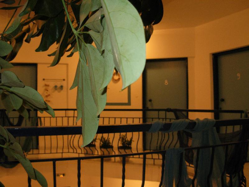 פוליכרונו Anemos Hotel מראה חיצוני תמונה